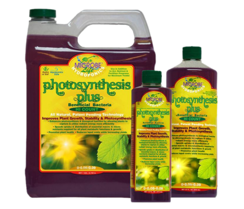 Photosynthesis Plus 3,8 Liter