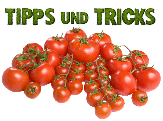 Tipps und Tricks